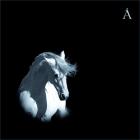 Аквариум - Белая лошадь (2008)